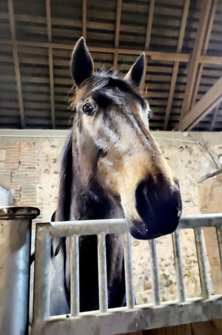 Gite Au Haras D'Agathe Et Ses Princes Les Barils Екстериор снимка