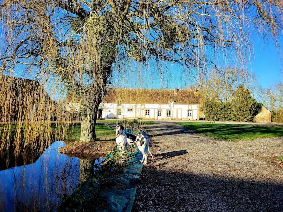 Gite Au Haras D'Agathe Et Ses Princes Les Barils Екстериор снимка