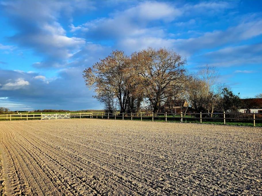 Gite Au Haras D'Agathe Et Ses Princes Les Barils Екстериор снимка
